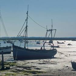 Low tide in the inlet