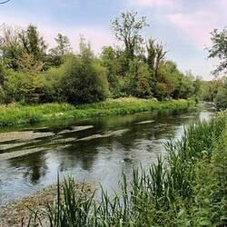 Idyllic swimming spot. Blue dragon flies made it even more magical