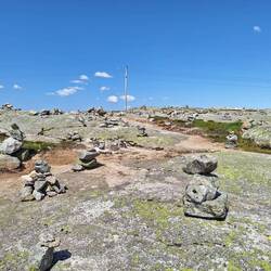 Steinmannliversammlung