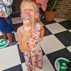 Devons House Ice Cream