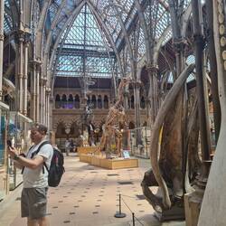 This is the Natural History Museum. It was so hot! It had a glass roof and no a/c!!!