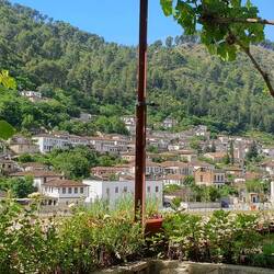 Und der Balkon mit Weinreben