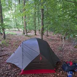 Wildcamp 6