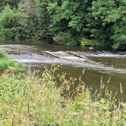 Weir on the river Severn which runs past the campsite