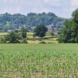 Montgomery across a few fields