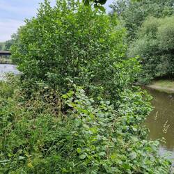 River Severn from campsite