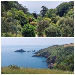 Coleton Fishacre; Views out to sea