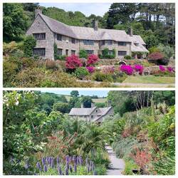Coleton Fishacre; The House