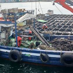 Mussel farm