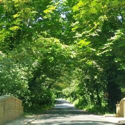 Über diese Brücke sind wir in Saxmundham oft mit dem Rad gefahren 🚲🚲