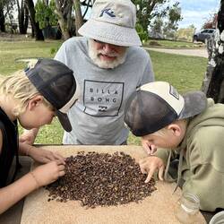 Back at Armfest, this time with the kids