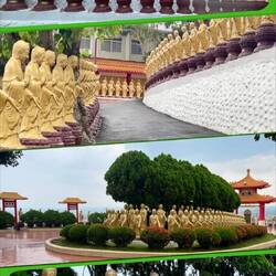 THOUSANDS (somewhere around 250,000 on the property)