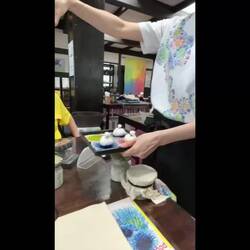 VIDEO - demo technique