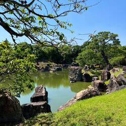 More beautiful gardens