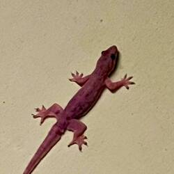 Der hielt extra still für ein Bild.