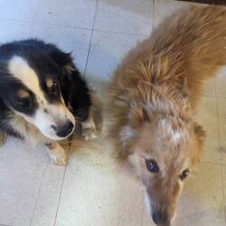 Cute did that live at the store