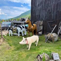 🤦🏼‍♀️😅