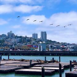 Pier 39
