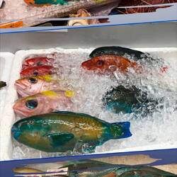 You pick it and we cook it ..right there!