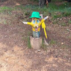 Woodland surprise