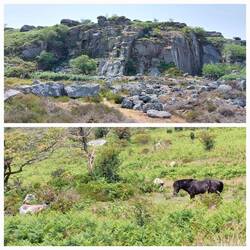 Holywell Quarry / View nearby