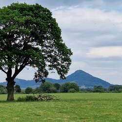 Breidden hill, Old Mills Hill & Moel y Golfa looking east from Offa's Dyke path