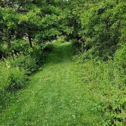 Beautifully mown section of path on Severn flood defence dyke
