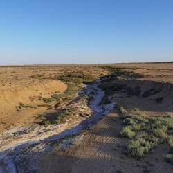 Wenn man fährt und denkt: In dem Fluss können wir uns abkühlen. Und dann das....