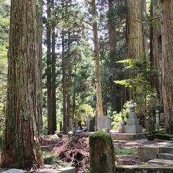 Prière qui rythme la journée