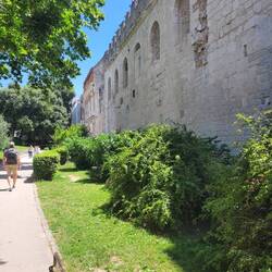 Exterior wall of the palace