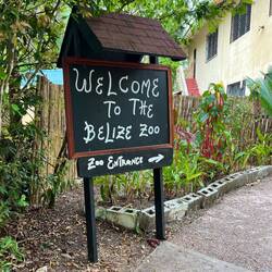 Am Zooeingang 🚶‍♀️