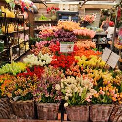 The flower market -- OMG, so many variations, so much color!