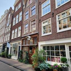 Typical street -- narrow (but deep) brick townhouses, facades, hooks at top for pulling up furniture