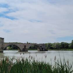 Pont d'Avignon