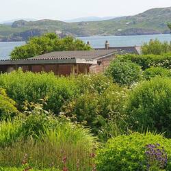 Das ist der Organic Garden des einzigen Hotels auf Iona
