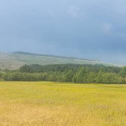 Da naht ein Gewitter