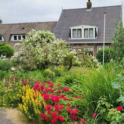 People name their houses here too. I had to look this up: meerzicht = lake view 🙂