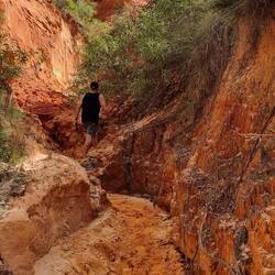 Coloured Sands, Cape Bedford