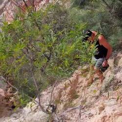 Coloured Sands, Cape Bedford