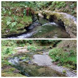 Views of the River Lyd along the river path
