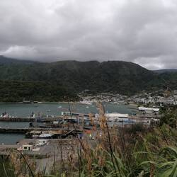 Picton