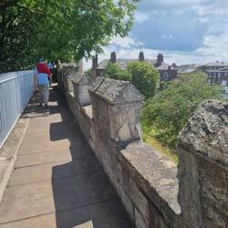 Walking on the city walks