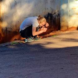 Valentino ist fasziniert von Ameisen