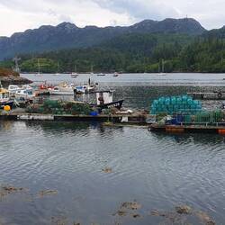 Der kleine Hafen von Plockton