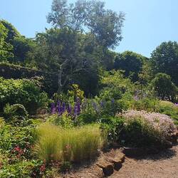 Der üppige Garten von Castle Dunvegan