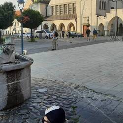 Zuviel vom slowakischen Pivo??