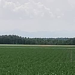 Erster schemenhafter Blick auf die Alpen