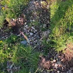 Heute morgen, berg runter