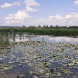 weite Wasserlandschaft