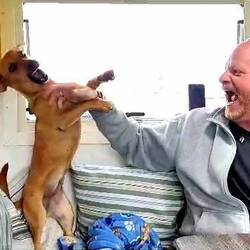 Toben mit Emma muss auch sein.